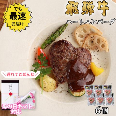【遅れてごめんね!母の日 2026】飛騨牛 ハートハンバーグ 食べ比べ ギフト 6個